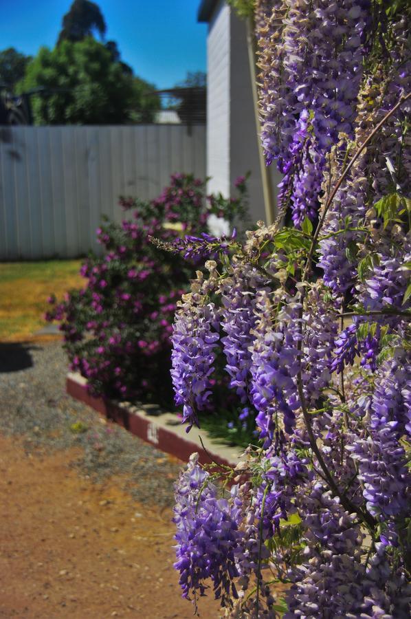 Gazebo Motor - 3* Strathmerton